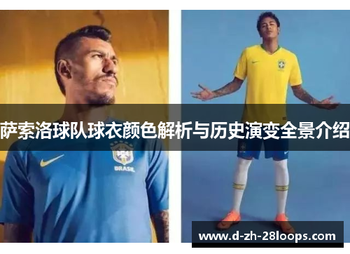 萨索洛球队球衣颜色解析与历史演变全景介绍