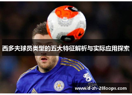 西多夫球员类型的五大特征解析与实际应用探索 西多夫球员类型的五大特征解析与实际应用探索