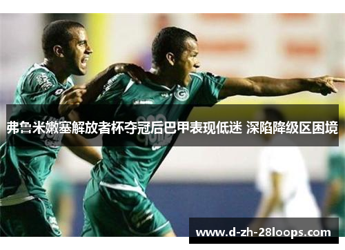 弗鲁米嫩塞解放者杯夺冠后巴甲表现低迷 深陷降级区困境 弗鲁米嫩塞解放者杯夺冠后巴甲表现低迷 深陷降级区困境